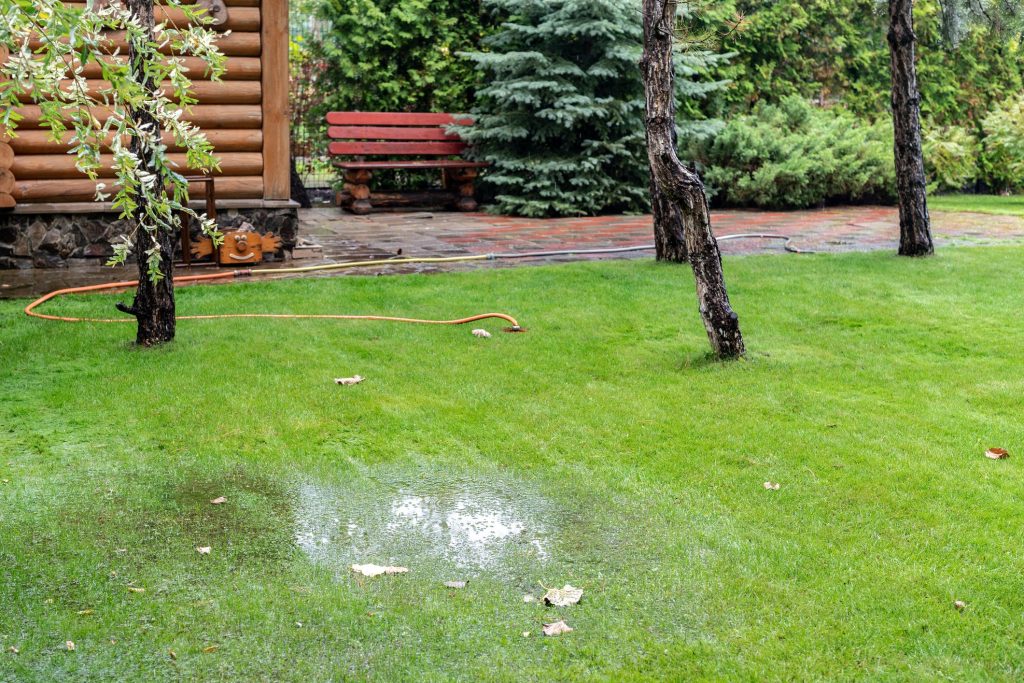 Why Is My Yard Soggy